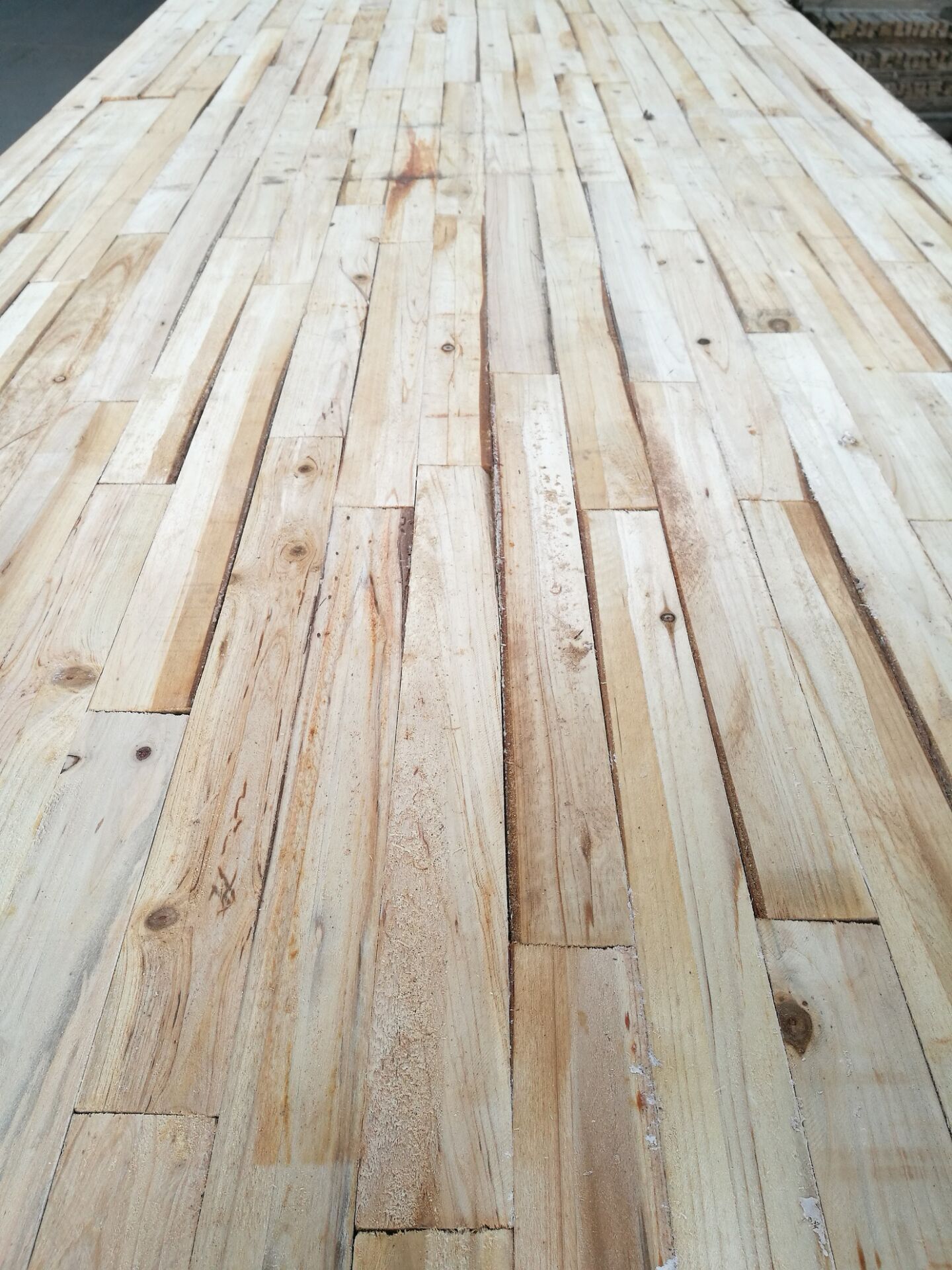 ��ɼľ��о--2��