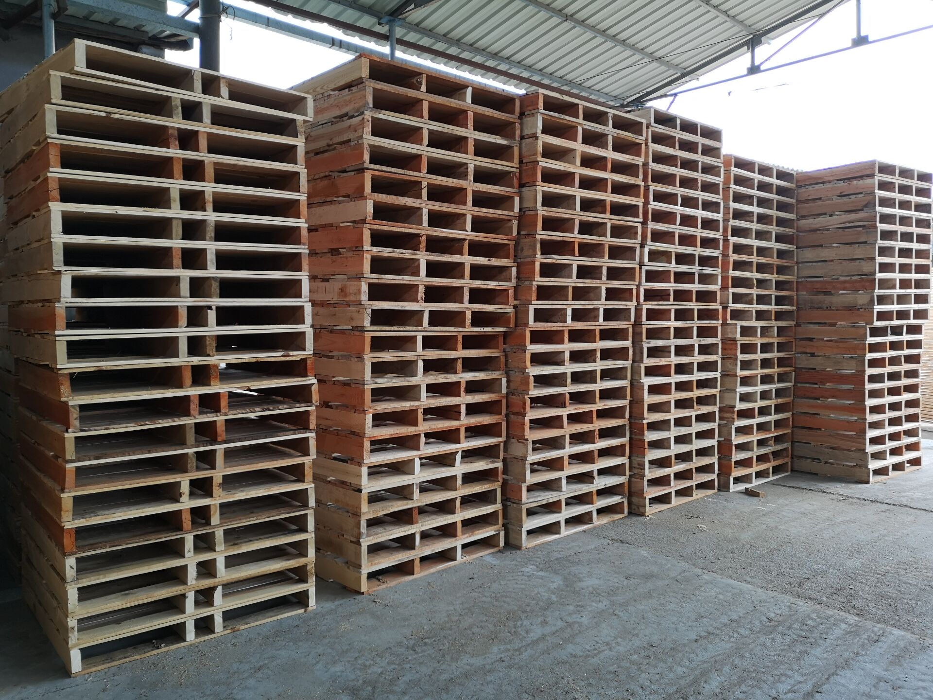 ˫�����ľ����002